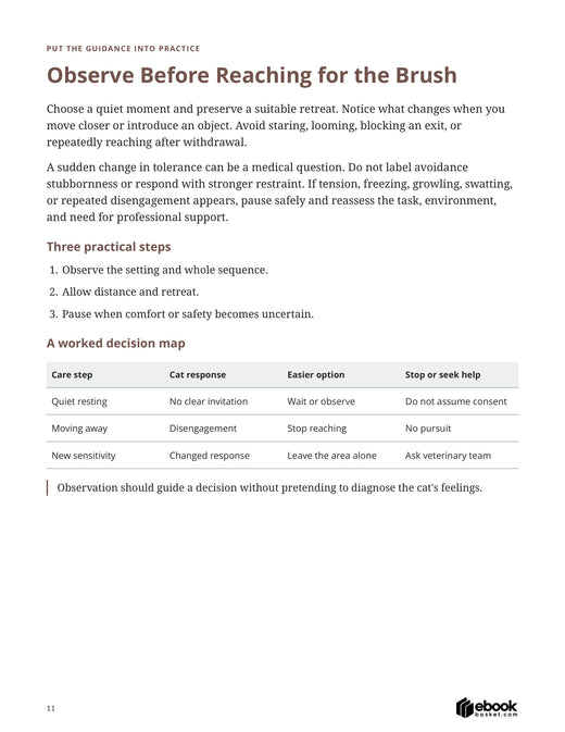Brush Your Cat Without the Fuss — actual PDF page 11: Observe Before Reaching for the Brush Choose a quiet moment and preserve a suitable retreat. Notice 